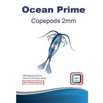 Ocean Prime Codepods 2mm