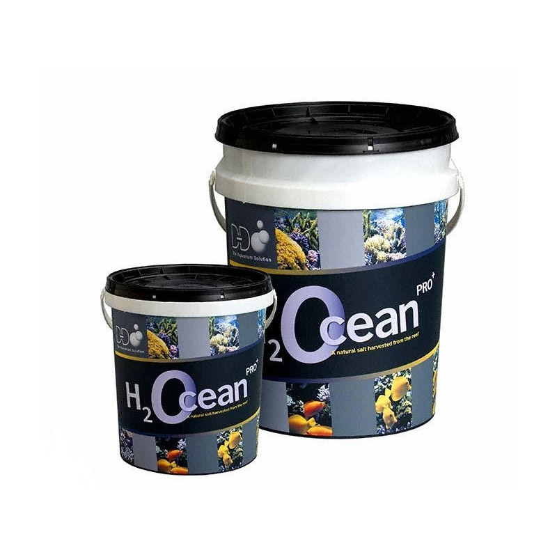 DD sel H2Ocean 6.6kg seau 19,90 €