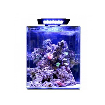 Blue marine Reef 60 aquarium + 24.90€ en bon d'achats coraux,poisso...