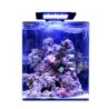 Blue marine Reef 60 aquarium + 24.90€ en bon d'achats coraux,poisso...