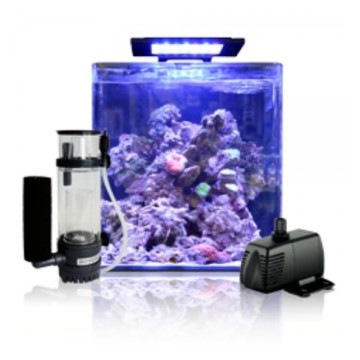 Blue marine Reef 60 aquarium + 24.90€ en bon d'achats coraux,poisso...