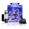 Blue marine Reef 60 aquarium + 24.90€ en bon d'achats coraux,poisso...