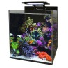 Blue marine Reef 60 aquarium + 24.90€ en bon d'achats coraux,poisso...