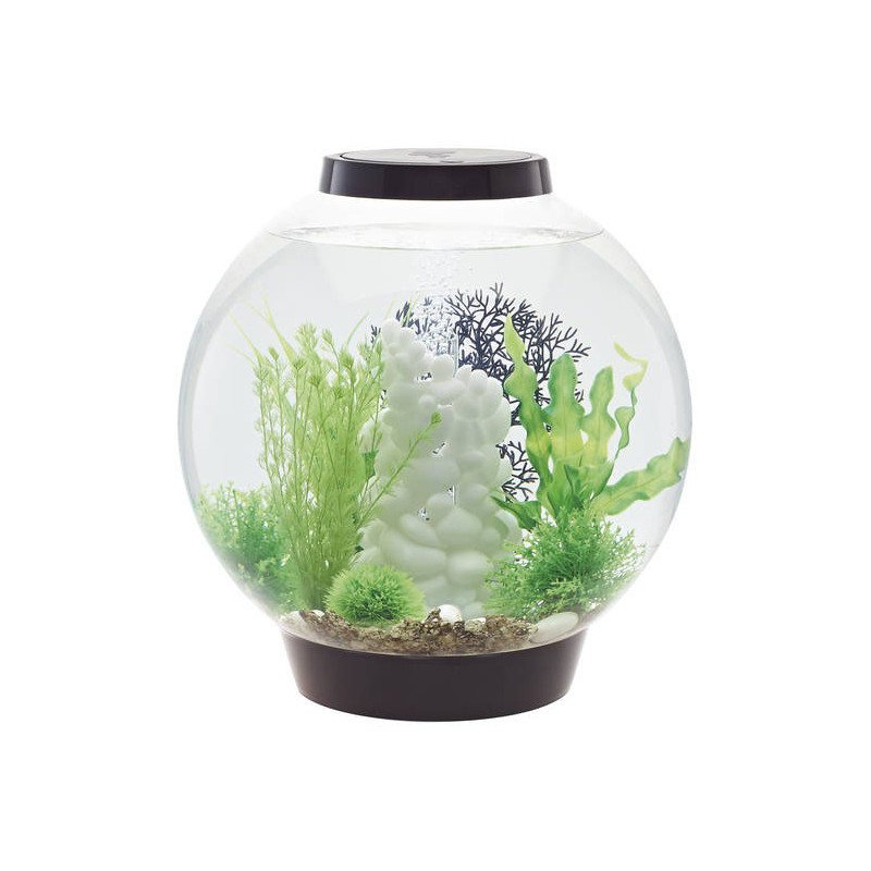 Oase biOrb aquarium CLASSIC 30 LED noir 178,95 €