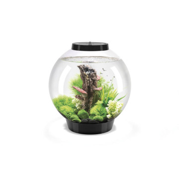 Oase biOrb aquarium CLASSIC 30 LED noir