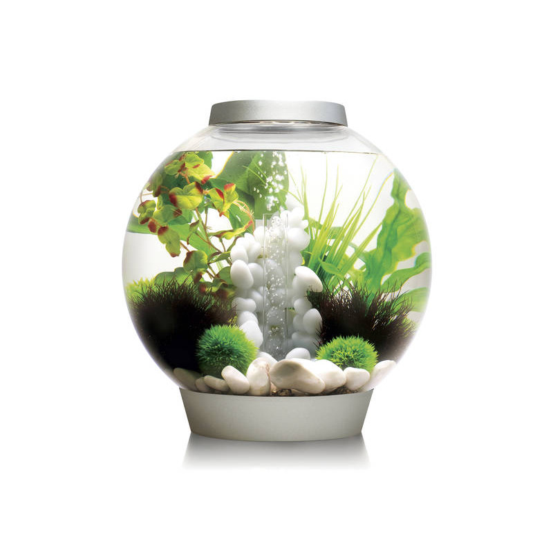 Oase biOrb aquarium CLASSIC 30 LED argent 194.95 €