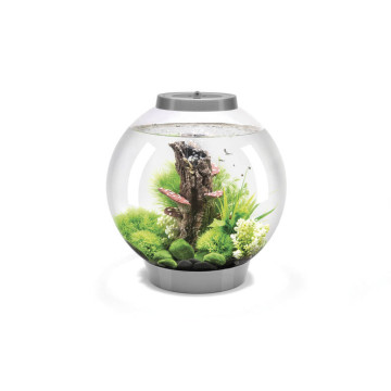 Oase biOrb aquarium CLASSIC 30 LED argent 194.95 €