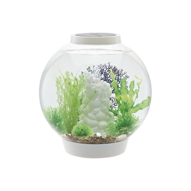 Oase biOrb aquarium CLASSIC 30 LED blanc 178,95 €