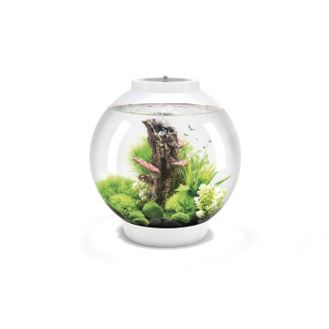 Oase biOrb aquarium CLASSIC 30 LED blanc