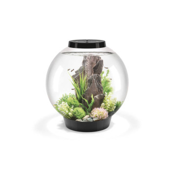 Oase biOrb aquarium CLASSIC 60 LED noir