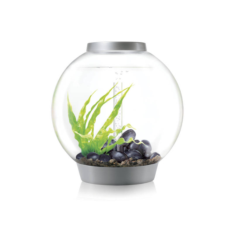 Oase biOrb aquarium CLASSIC 60 LED argent 299,95 €