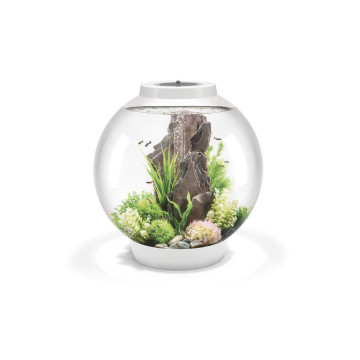 Oase biOrb aquarium CLASSIC 60 LED blanc