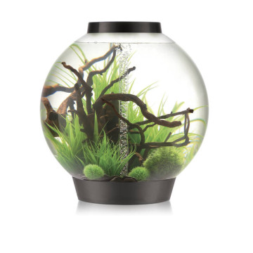 Oase biOrb aquarium CLASSIC 105 MCR noir