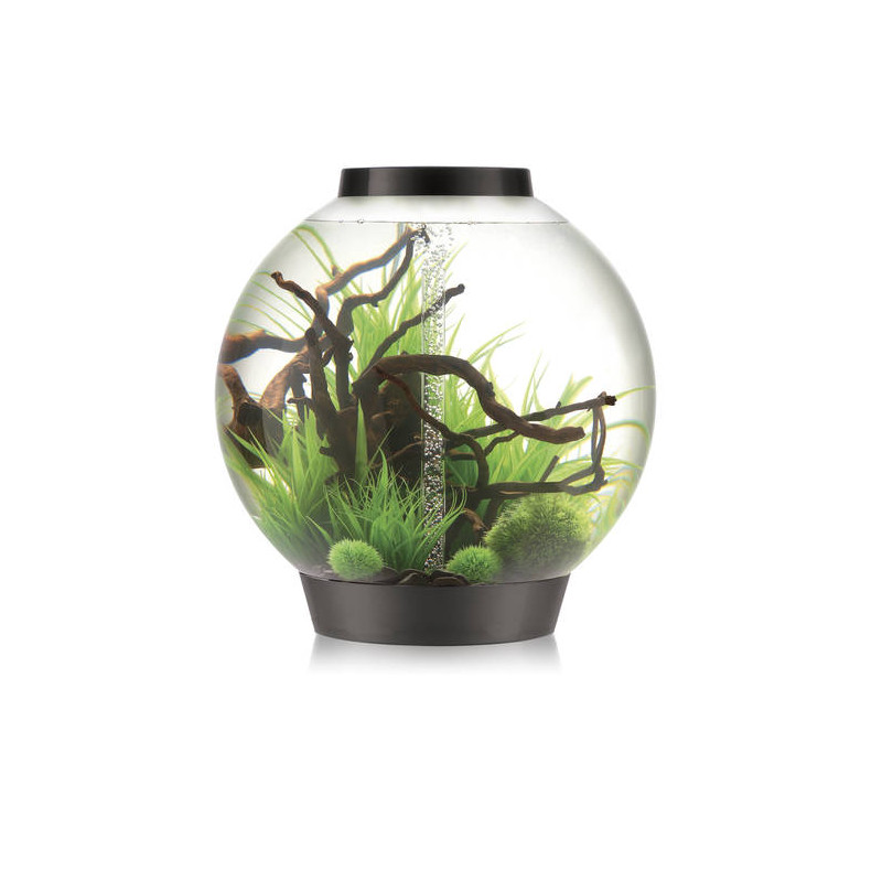 Oase biOrb aquarium CLASSIC 105 MCR noir 549.95 €