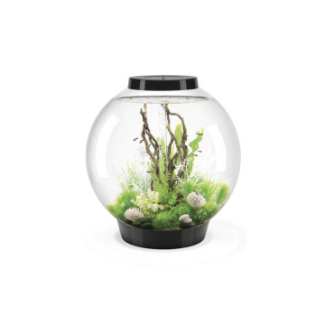 Oase biOrb aquarium CLASSIC 105 MCR noir 549.95 €