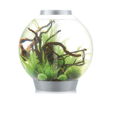 Oase biOrb aquarium CLASSIC 105 MCR argent