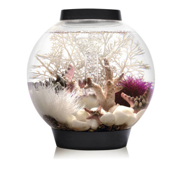 Oase biOrb aquarium CLASSIC 15 MCR noir 157,95 €