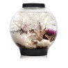 Oase biOrb aquarium CLASSIC 15 MCR noir 157,95 €