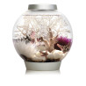 Oase biOrb aquarium CLASSIC 15 MCR argent 146,95 €