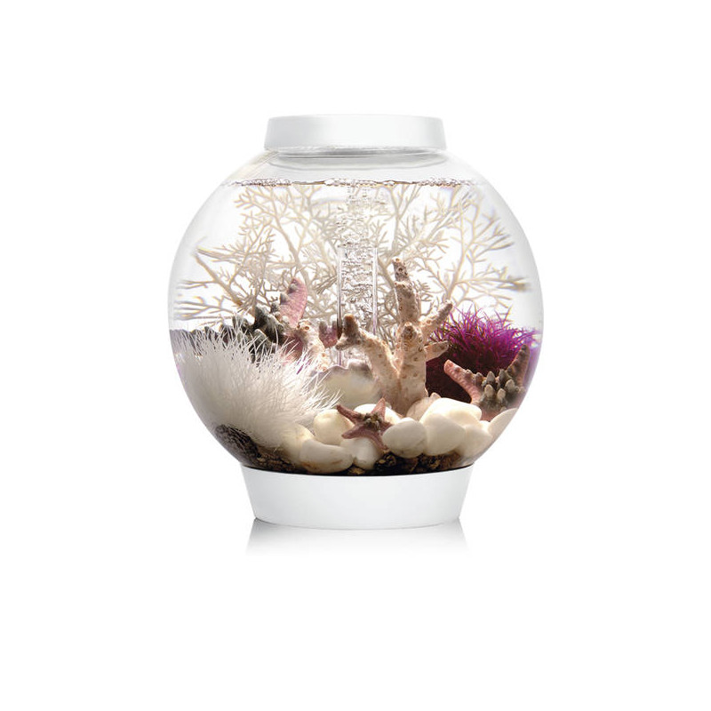 Oase biOrb aquarium CLASSIC 15 MCR blanc 157,95 €