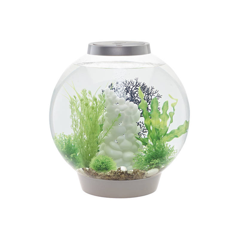 Oase biOrb aquarium CLASSIC 30 MCR argent 216,95 €