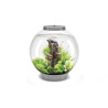 Oase biOrb aquarium CLASSIC 30 MCR argent 216,95 €