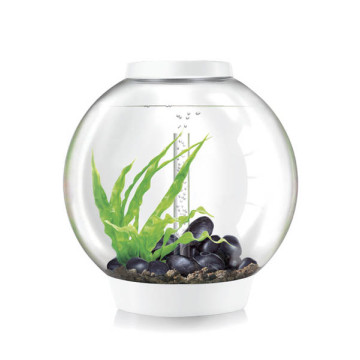 Oase biOrb aquarium CLASSIC 60 MCR blanc