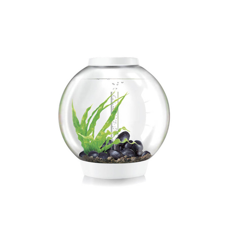 Oase biOrb aquarium CLASSIC 60 MCR blanc 349.95 €