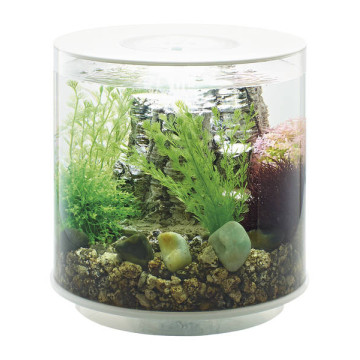 Oase aquarium biOrb TUBE 15 LED blanc