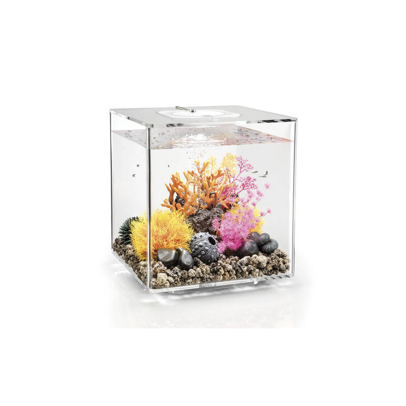 Oase aquarium biOrb CUBE 30 LED transparent