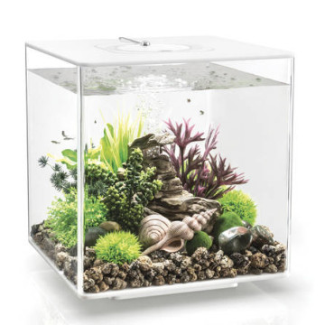 Oase aquarium biOrb CUBE 30 LED MCR blanc 282,95 €