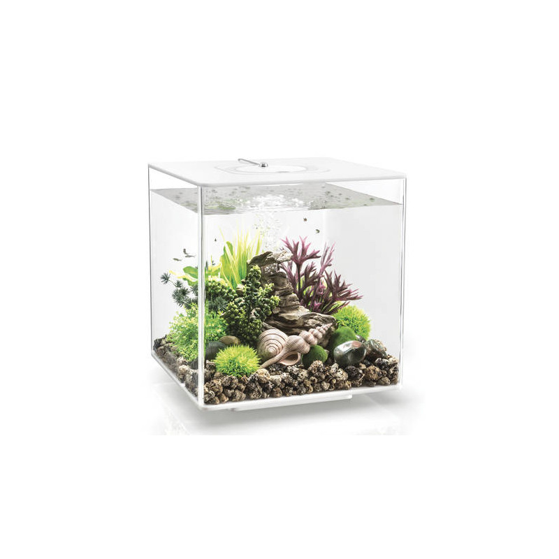 Oase aquarium biOrb CUBE 30 LED MCR blanc 282,95 €