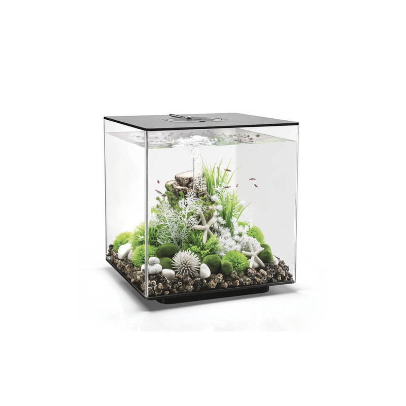 Oase aquarium biOrb CUBE 60 LED MCR noir 379,95 €