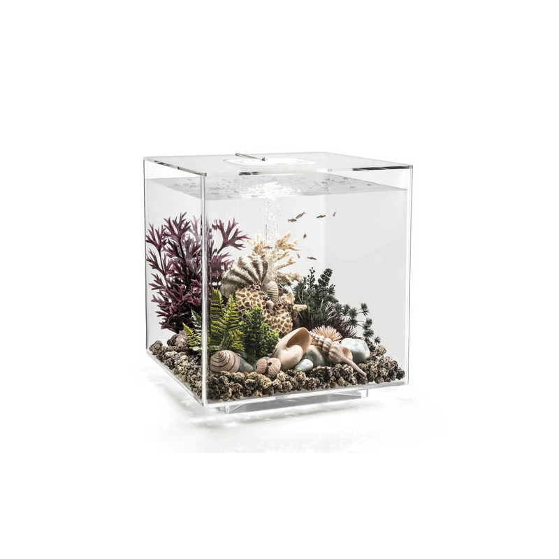 Oase aquarium biOrb CUBE 60 LED MCR transparent 308.95 €