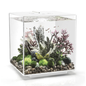 Oase aquarium biOrb CUBE 60 LED blanc