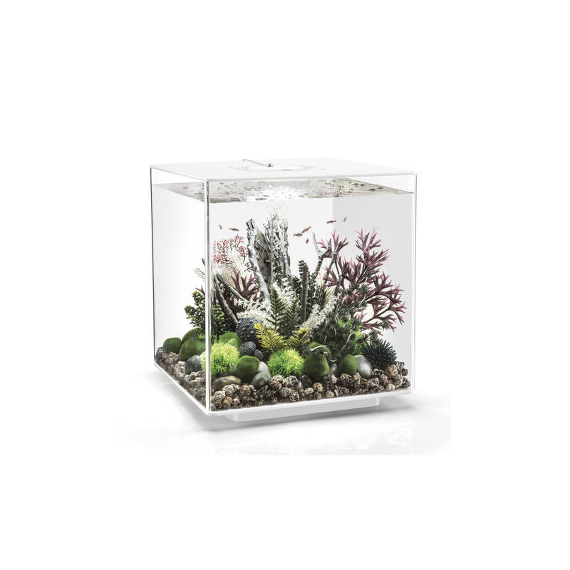 Oase aquarium biOrb CUBE 60 LED blanc