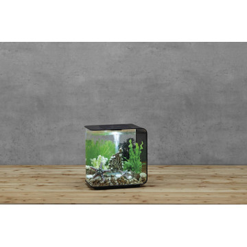 Oase aquarium biOrb FLOW 15 LED noir