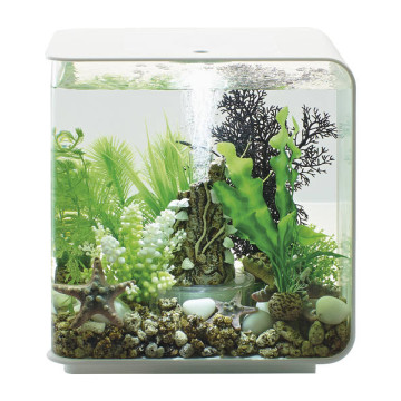 Oase aquarium biOrb FLOW 15 LED blanc 164,95 €