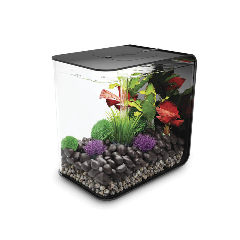 Oase aquarium biOrb FLOW 30 LED noir 229,95 €