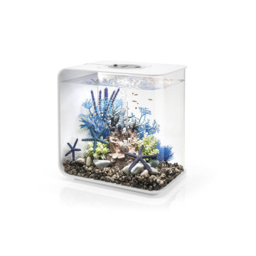 Oase aquarium biOrb FLOW 30 LED blanc 229,95 €