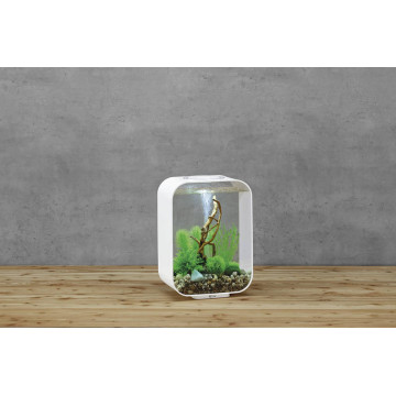 Oase aquarium biOrb LIFE 15 LED blanc 204,95 €