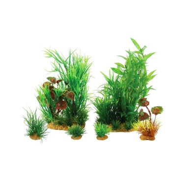 Zolux PlantKit Jalaya N2 20,60 €