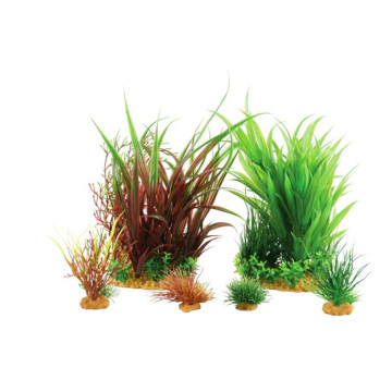 Zolux PlantKit Jalaya N3 20,60 €