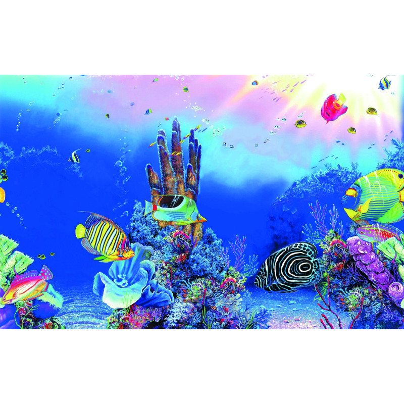 Superfish deco Poster F1 60x30cm 4,70 €