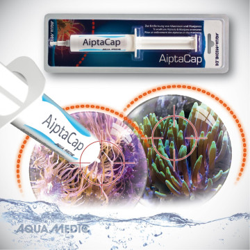 Aqua Medic AiptaCap