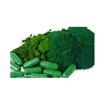 Dr.Bassleer Biofish Food green M 60g