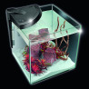 NeWa More® aquarium NM0 50R noir