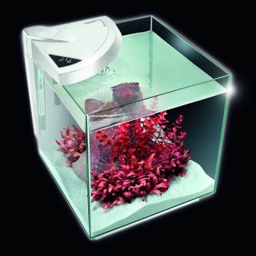 NeWa More® aquarium NM0 50RW blanc