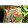 Dennerle Shrimp King Yummy Gum 55gr 10,40 €