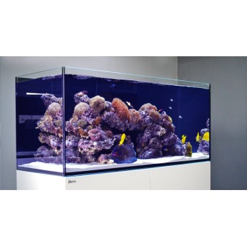  Reefer™ XXL 750 Noir (Aqua + mbl) + 344.90€ en bon d'achats coraux,poissons